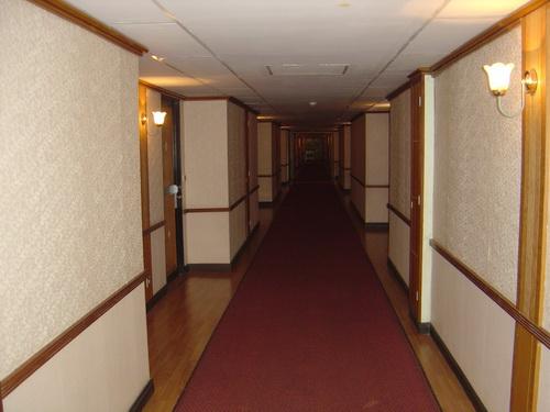 731.jpg
